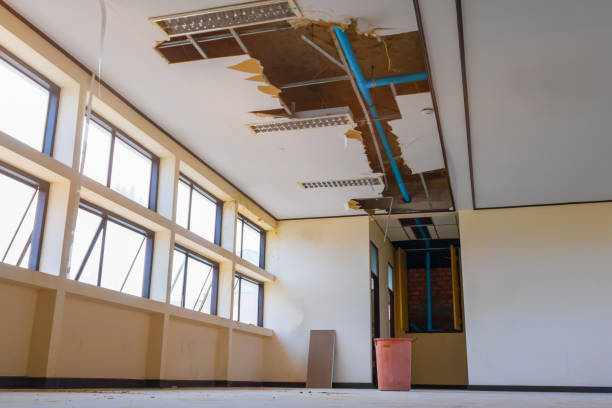 Best Basement water damage restoration  in Greenacres, CA