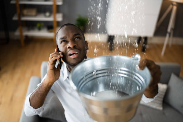 Best Water damage cleanup near me  in Greenacres, CA