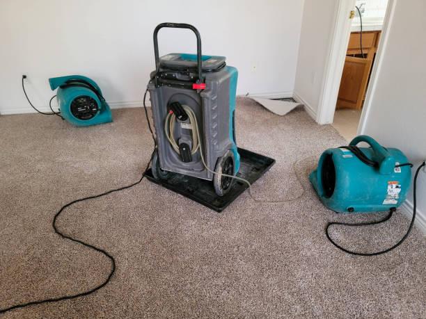 Best Water damage restoration near me  in Greenacres, CA
