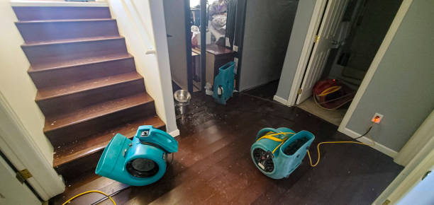 Best Water damage restoration process  in Greenacres, CA