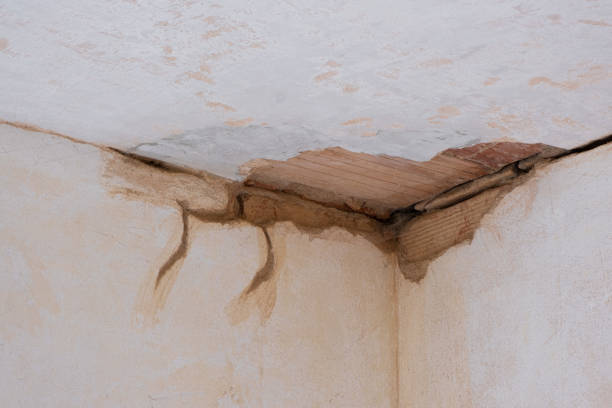 Best Ceiling water damage repair  in Greenacres, CA