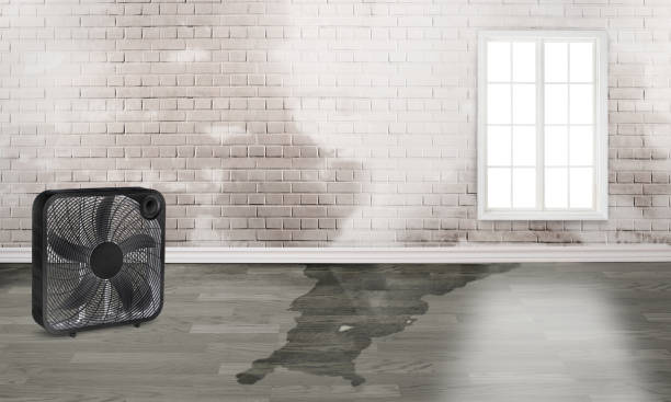 Best Water damage cleanup near me  in Greenacres, CA