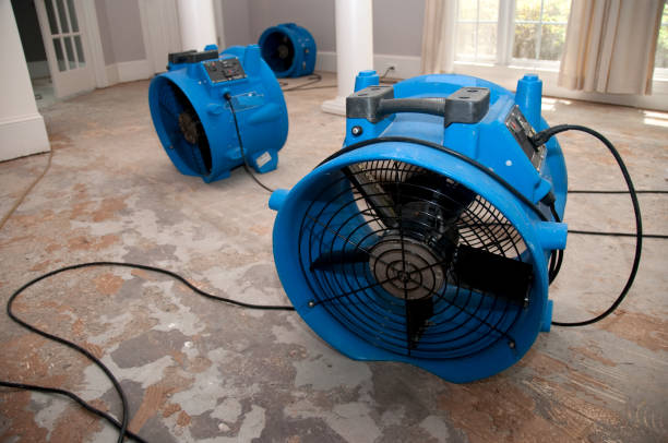Best Residential water damage restoration  in Greenacres, CA