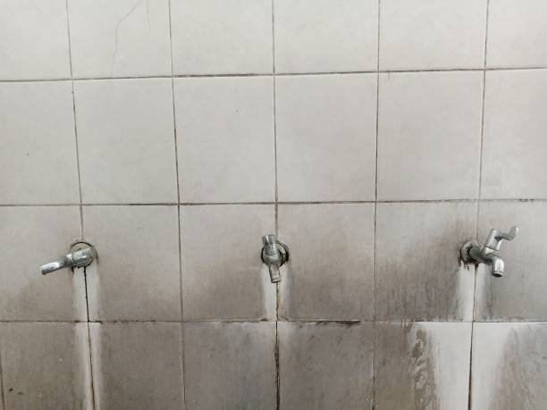 Best Carpet water damage restoration  in Greenacres, CA