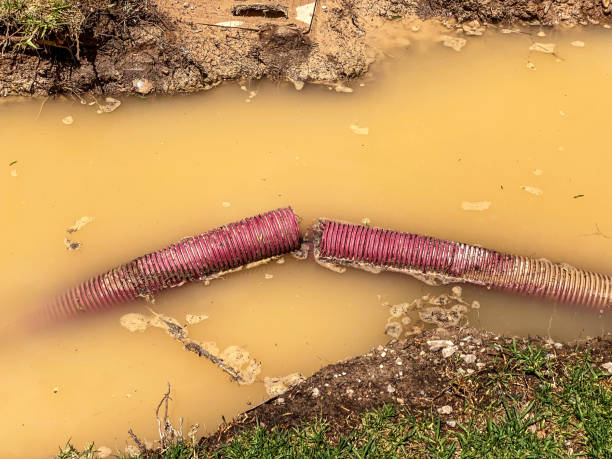 Trusted CA Water damage restoration Experts
