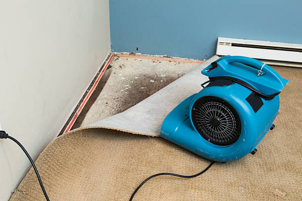 Best Emergency water damage restoration  in Greenacres, CA